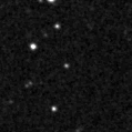 2019rlf_image