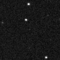 2019rlg_image