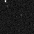 2019rlk_image