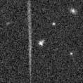 2019rlm_image