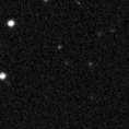 2019rlo_image