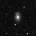 2019rmq_image