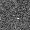 2019rns_image