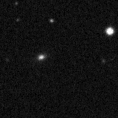 2019rnt_image