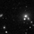 2019rnz_image