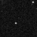 2019rop_image