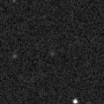 2019row_image