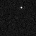 2019rpo_image