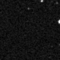 2019rpq_image