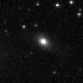 2019rqt_image