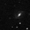 2019rrf_image
