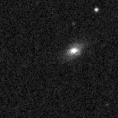 2019rsf_image