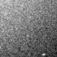 2019rsi_image