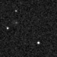 2019rxp_image