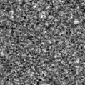 2019rya_image