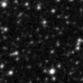 2019ryf_image