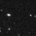 2019rzf_image