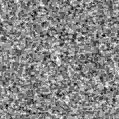 2019rzl_image