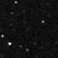 2019rzq_image
