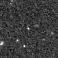 2019sak_image