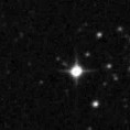 2019scb_image