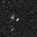 2019sck_image