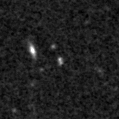 2019scz_image