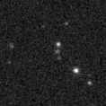 2019sdd_image
