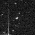 2019sdm_image