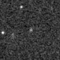 2019sdt_image