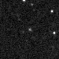 2019sdw_image