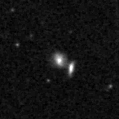 2019sdz_image