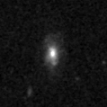 2019ser_image