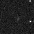 2019sfa_image