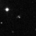 2019sfd_image