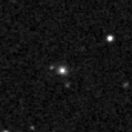 2019sfg_image