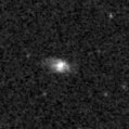 2019sfj_image