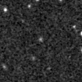 2019sfk_image