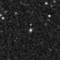 2019sfq_image
