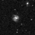 2019sgp_image