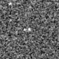 2019sgy_image