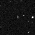 2019shp_image