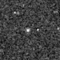 2019sjg_image
