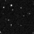 2019sjr_image