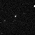 2019sjs_image