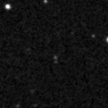 2019skn_image