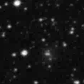 2019slf_image