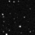 2019sll_image
