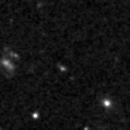 2019slo_image
