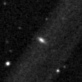 2019slw_image